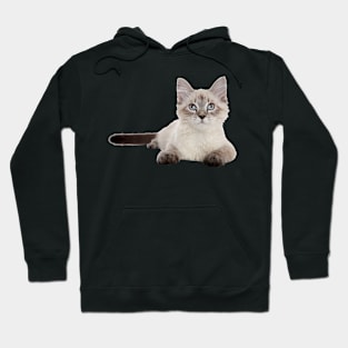 Cats Hoodie